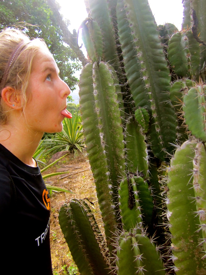 Obligatory cactus selfie because when you adventure alone, you have to make friends with plants.